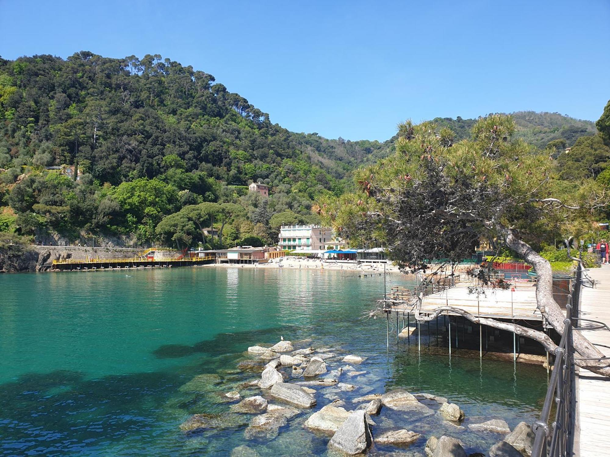 Sabini Rentals - Affittacamere Santa Margherita Ligure Dış mekan fotoğraf